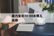 包罗魔力宝物70-80去哪儿练级的词条