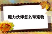 魔力伙伴怎么带宠物-魔力伙伴怎么带宠物进去