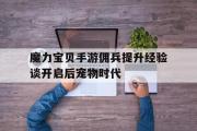 包罗魔力宝物手游佣兵提拔经历谈开启后宠物时代的词条