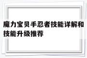 关于魔力宝物手忍者技能详解和技能晋级保举的信息