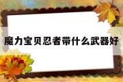 魔力宝物忍者带什么兵器好-魔力宝物忍者带什么兵器好打