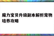 关于魔力宝物晋级副本解析宠物培育攻略的信息