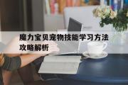 魔力宝物宠物技能进修办法攻略解析的简单介绍