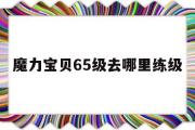 魔力宝物65级去哪里练级-魔力宝物65级去哪里练级快