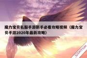 魔力宝物私服手游新手必看攻略视频（魔力宝物手游2020年最新攻略）