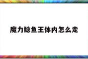 魔力鲶鱼王体内怎么走-魔力宝物手机版鲶鱼副本图文攻略