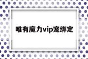 唯有魔力vip宠绑定-唯有魔力120使命奖励宠