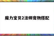 魔力宝贝2法师宠物搭配-魔力宝贝2法师宠物搭配图