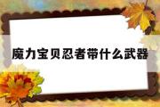 魔力宝贝忍者带什么武器-魔力宝贝怀旧忍者带什么首饰