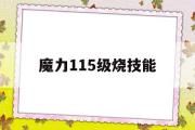 魔力115级烧技能-魔力120级去哪里烧技能