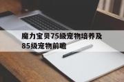 关于魔力宝贝75级宠物培养及85级宠物前瞻的信息