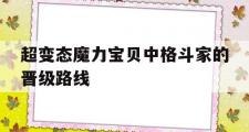 关于超变态魔力宝贝中格斗家的晋级路线的信息