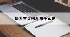 魔力宝贝格斗带什么宠-魔力宝贝格斗都学什么技能