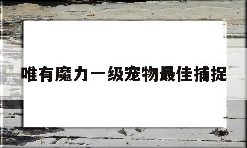 关于唯有魔力一级宠物更佳捕获的信息