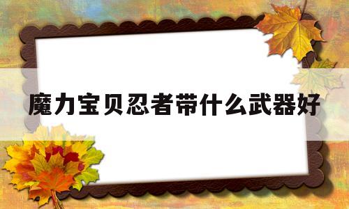 魔力宝物忍者带什么兵器好-魔力宝物忍者带什么兵器好打