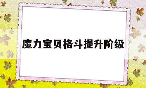 魔力宝物肉搏提拔阶级-魔力宝物肉搏提拔阶级有什么用