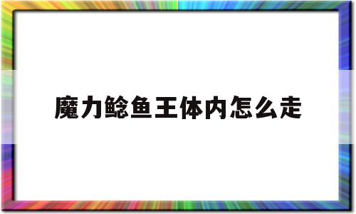 魔力鲶鱼王体内怎么走-魔力宝物手机版鲶鱼副本图文攻略