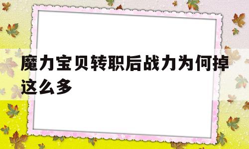 包罗魔力宝物转职后战力为何掉那么多的词条