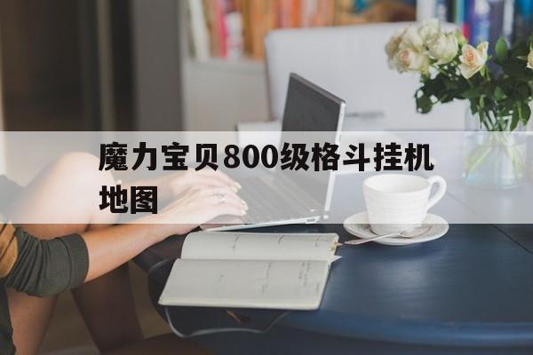 魔力宝贝800级格斗挂机地图-魔力宝贝800级格斗挂机地图怎么开