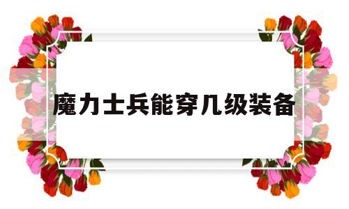 魔力士兵能穿几级装备-魔力士兵能穿几级装备啊